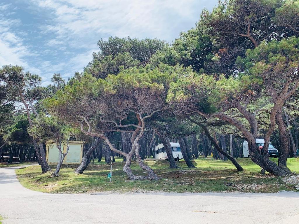 Apartment Alexandra Premantura Dış mekan fotoğraf